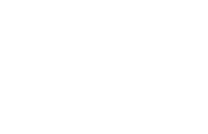 January Sale